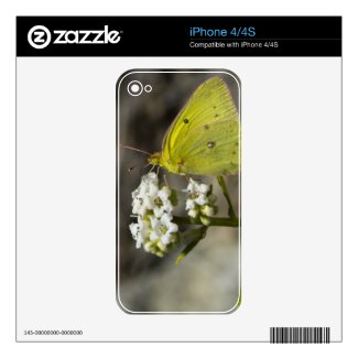 Yellow Butterfly Decals For The Iphone 4s
