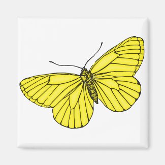 Yellow Butterfly Magnets