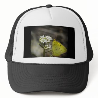 Yellow Butterfly Mesh Hats