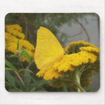 Yellow Butterfly Mousepad by Guiltypleasures Yellow Butterfly Mousepad