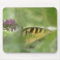 Yellow Butterfly mousepads by MAPASUE Yellow Butterfly mousepads