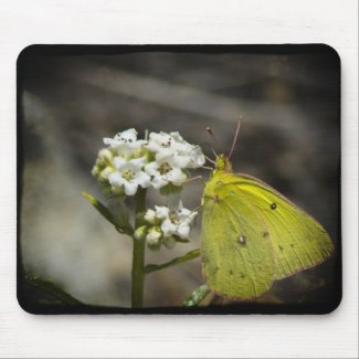 Yellow Butterfly Mousepads