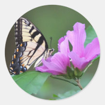 Yellow Butterfly on Pink Posies Round Sticker
