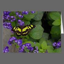 Yellow Butterfly on Violet Flowers Print cards
