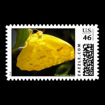 Yellow Butterfly Postage postage by Rajee1 Yellow Butterfly Postage postage