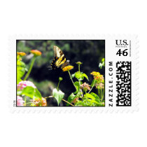Yellow Butterfly Postage
