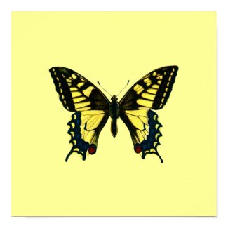 Yellow Butterfly Poster print