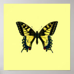 Yellow Butterfly Poster posters