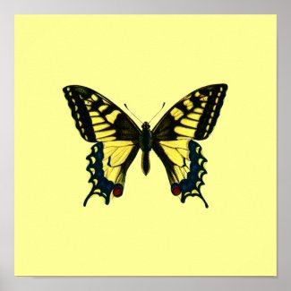 Yellow Butterfly Poster print