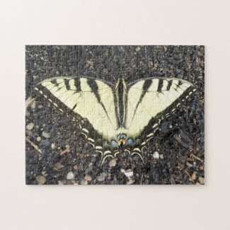 Yellow Butterfly Puzzles