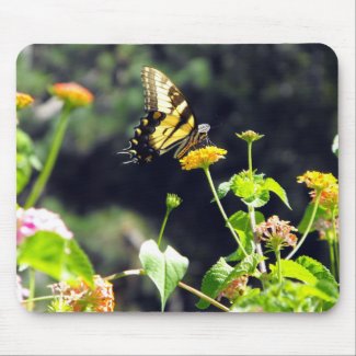 Yellow Butterfly Upclose mousepad