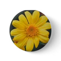 yellow buttons