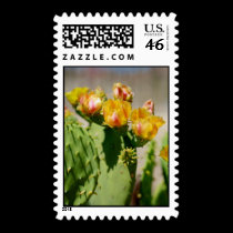 Yellow Cactus Bloom Postage Stamp