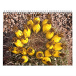 Yellow Cactus Calendar