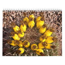 Yellow Cactus Calendar