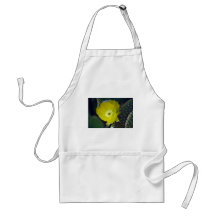 Yellow cactus flower and meaning apron