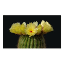 Yellow Cactus Flower Business Card Template