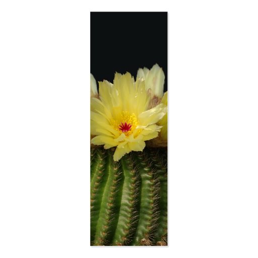 Yellow Cactus Flower Business Card Template (back side)