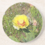 Yellow Cactus Flower Coaster