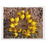 Yellow Cactus Letterhead