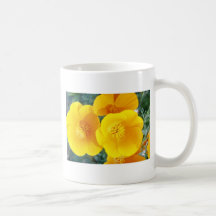 yellow California poppies in full bloom flowers Coffee Mug