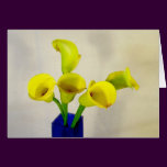 Yellow Calla Lillies