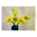 Yellow Calla Lillies cards by deegolden Yellow Calla Lillies cards
