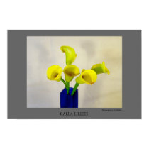 Yellow Calla Lillies posters