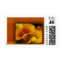Yellow calla lily postage by perfectpostage Yellow calla lily postage