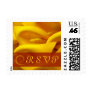Yellow Calla Lily RSVP