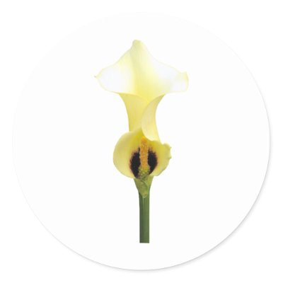 Calla Lily Stickers