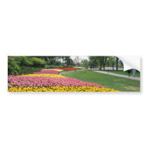 yellow Canadian Tulip Festival, Dow's Lake, Ottawa Bumper Stickers
