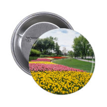 yellow Canadian Tulip Festival, Dow's Lake, Ottawa Pins