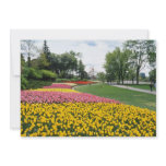yellow Canadian Tulip Festival, Dow's Lake, Ottawa Custom Invitation
