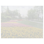 yellow Canadian Tulip Festival, Dow's Lake, Ottawa Letterhead