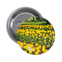 yellow Canadian Tulip Festival flowers Pinback Buttons