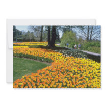 yellow Canadian Tulip Festival, Queen Elizabeth Dr Custom Invites
