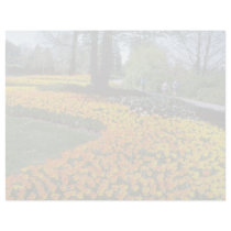 yellow Canadian Tulip Festival, Queen Elizabeth Dr Personalized Letterhead