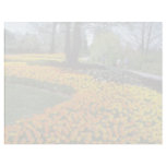yellow Canadian Tulip Festival, Queen Elizabeth Dr Personalized Letterhead
