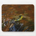 Yellow Canary bird bathing Mousepads
