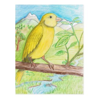 Yellow Canary in the Meadow Postcard