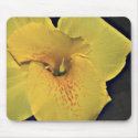 Yellow Canna Lily Mousepad, Version B by cherylarogers Yellow Canna Lily Mousepad, Version B