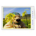 Yellow cards by hobbes_tiggar Yellow cards