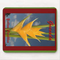 Yellow Caribbea 3 mousepads