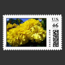 Yellow Carnations postage by dduhaime55 Yellow Carnations postage
