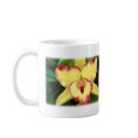 Yellow Cattleya Orchid with Red Ruffles mugs