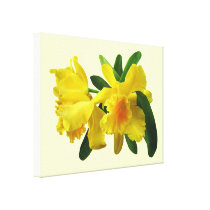 Yellow Cattleya Orchids canvas prints
