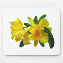 Yellow Cattleya Orchids mousepads