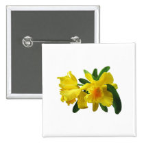 Yellow Cattleya Orchids buttons