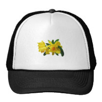 Yellow Cattleya Orchids hats